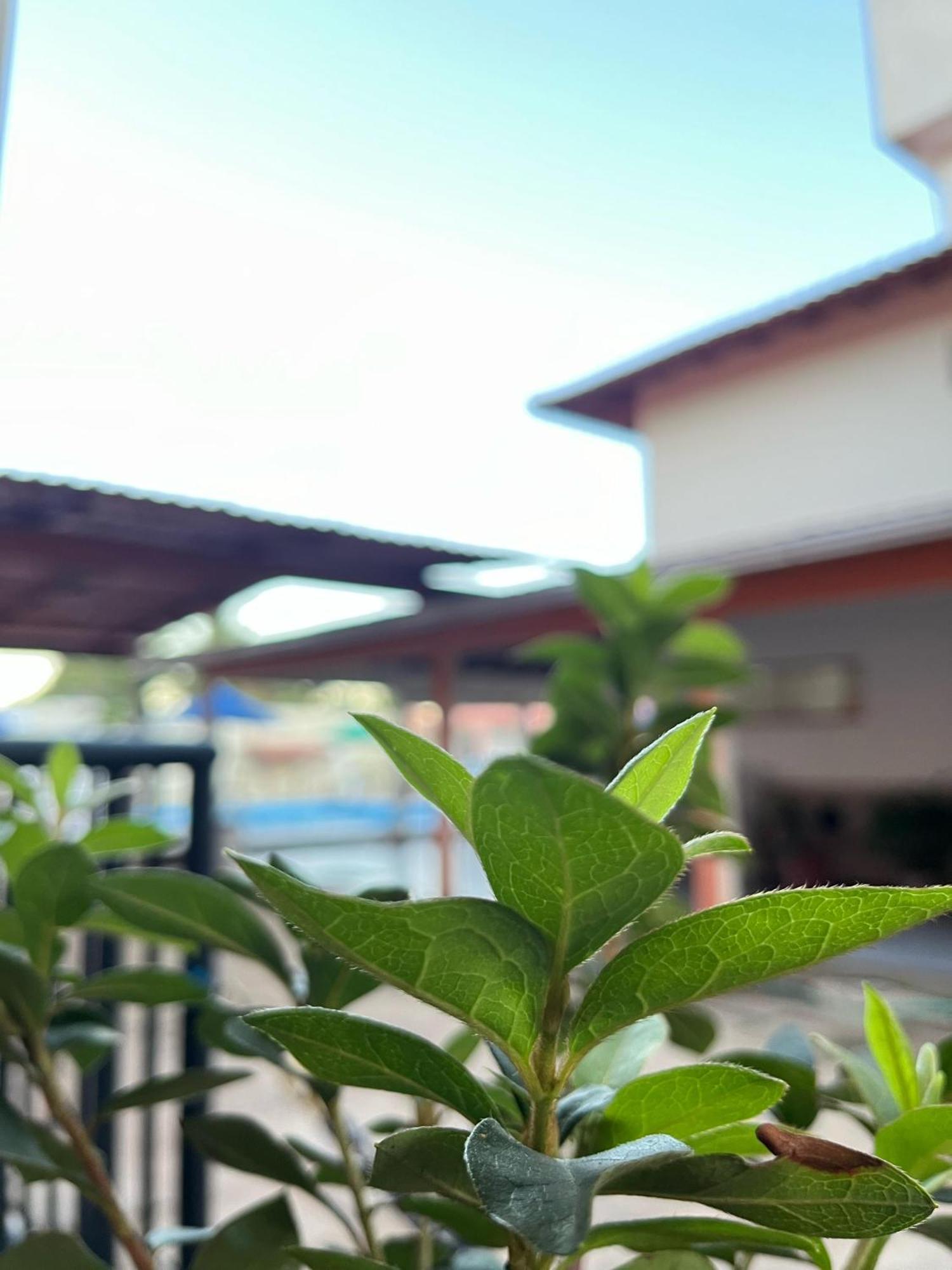 Pousada Lorenise São Mateus Buitenkant foto